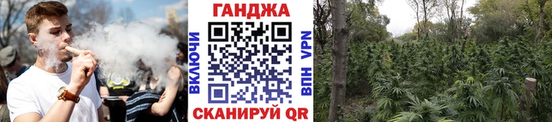Купить Сенгилей Бошки Шишки Галлюциногенные грибы ссылка на мегу ТОР Мефедрон КОКАИН Альфа ПВП
