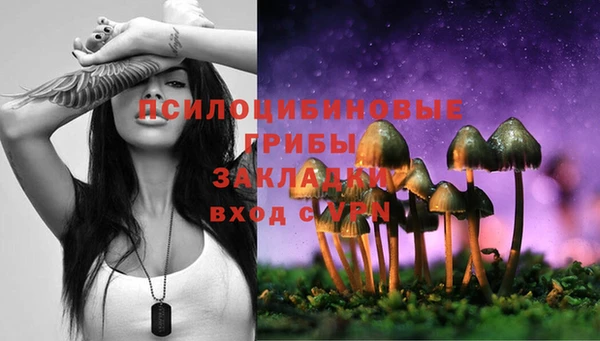 бошки Зеленодольск