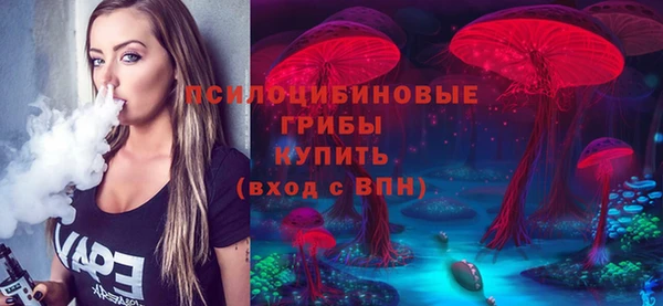 ешки Алзамай