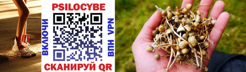МЕГА рабочий сайт Сенгилей Галлюциногенные грибы Psilocybe